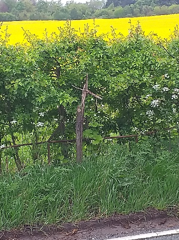 A cross in a hedge opposite Leaton Church